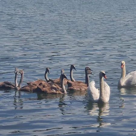 Mi-chalki Kalwa House * Michałki